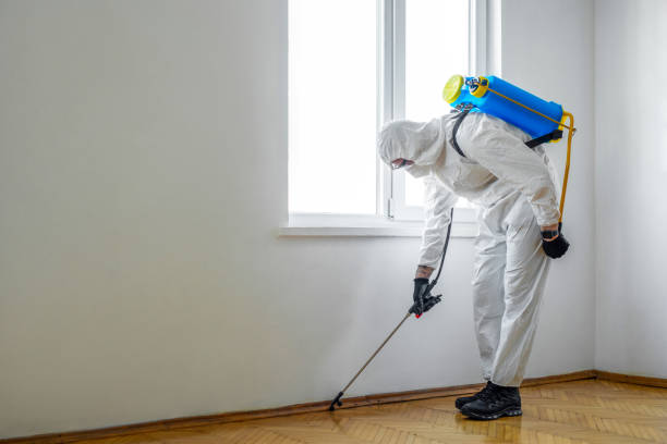 Best Pest Prevention Services  in Moss Bluff, LA